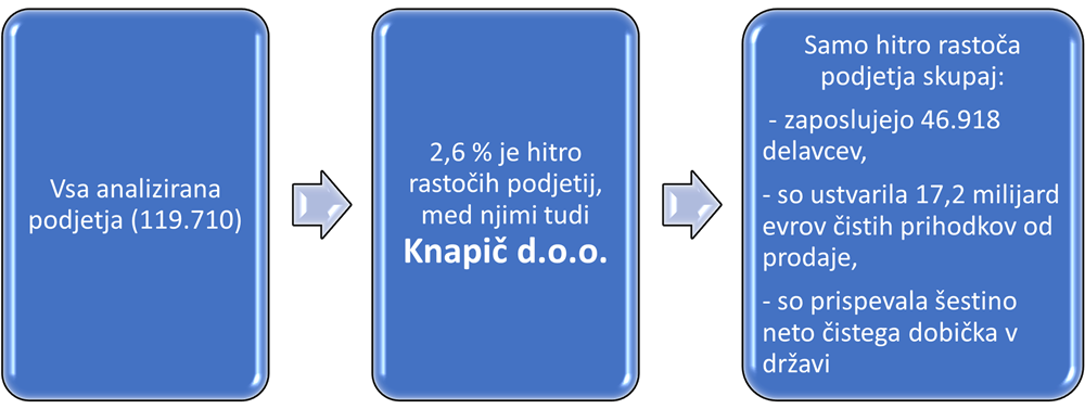 Knapič d.o.o. je med 119.710 podjetji, ki so bila analizirana, uspešno izpolnilo kriterije za uvrstitev med hitro rastoča podjetja. Skupina hitro rastočih podjetij, med katerimi se nahaja tudi Knapič d.o.o., predstavlja zgolj 2,6% vseh analiziranih podjetij, vendar skupaj zaposlujejo 46.918 delavcev in so ustvarila impresivnih 17,2 milijard evrov čistih prihodkov od prodaje ter prispevala šestino neto čistega dobička v državi.